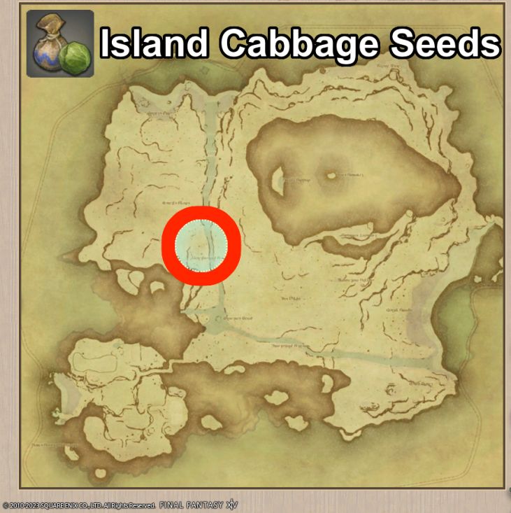 Main location of Island Cabbage Seeds on Island Sanctuary
