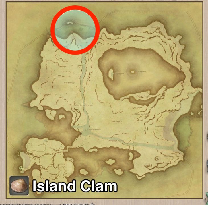 Main location of Island Clam on Island Sanctuary