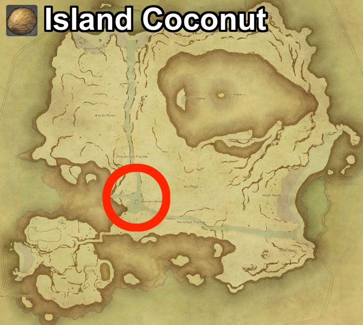 Main location of Island Coconut on Island Sanctuary