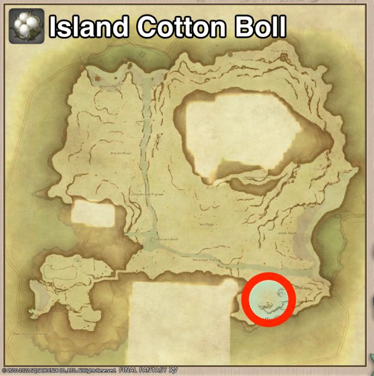 Main location of Island Cotton Boll on Island Sanctuary