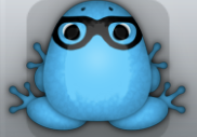 Azure Picea Lentium Frog from Pocket Frogs