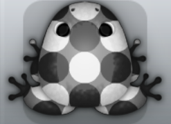 Black Albeo Imbris Frog from Pocket Frogs