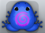 Blue Viola Spira Frog from Pocket Frogs