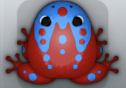 Maroon Caelus Ludo Frog from Pocket Frogs