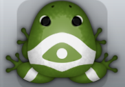 Olive Albeo Ocularis Frog from Pocket Frogs
