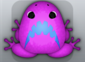 Pink Caelus Pistrix Frog from Pocket Frogs