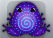 Purple Caelus Amfractus Frog from Pocket Frogs