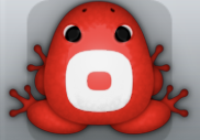 Red Albeo Orbis Frog from Pocket Frogs
