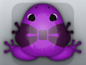 Royal Pruni Nodare Frog from Pocket Frogs