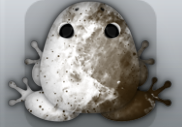 White Cafea Nebula Frog from Pocket Frogs
