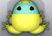 Yellow Callaina Levar Frog from Pocket Frogs
