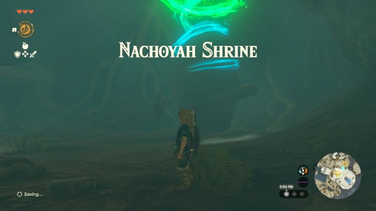 After you visit three shrines on Great Sky Island, you gain the ability to reach Nachoyah Shrine.