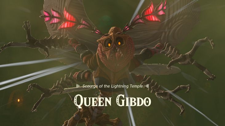 After you activate the four batteries in the Lightning Temple and activate the platform in the Room of Ascension, you must defeat Queen Gibdo.