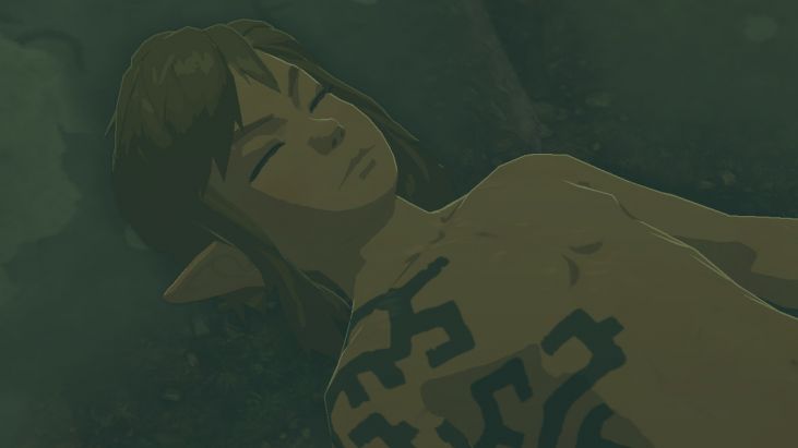 After the events that take place beneath Hyrule Castle, you awaken in the Room of Awakening.