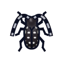 Citrus Long-horned Beetle