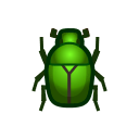 Drone Beetle