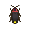 Firefly