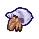 Hermit Crab