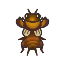 Mole Cricket