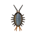 Wharf Roach