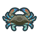 Gazami crab