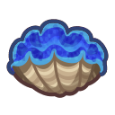 Gigas giant clam