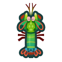 Mantis shrimp