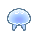 Moon jellyfish