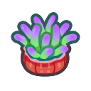 Sea anemone