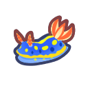 Sea slug