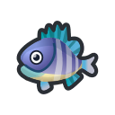 Bluegill