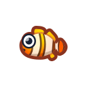 Clown Fish