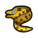 Moray Eel