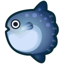 Ocean Sunfish