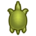 Soft-shelled Turtle