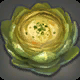 Cultured Cabbage
