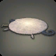 Enrichment Sheep Rug