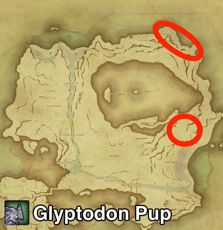 The locations where Glyptodon Pup can be found on Island Sanctuary in Final Fantasy XIV.