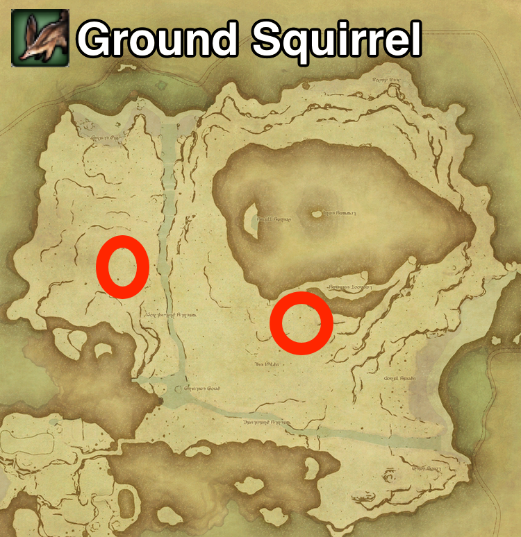 The locations where Ground Squirrel can be found on Island Sanctuary in Final Fantasy XIV.