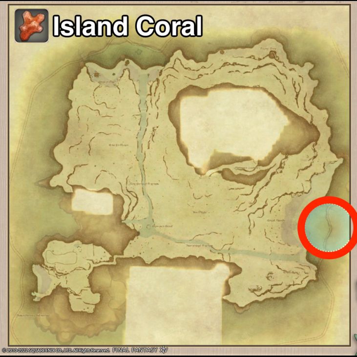 Main location of Island Coral on Island Sanctuary