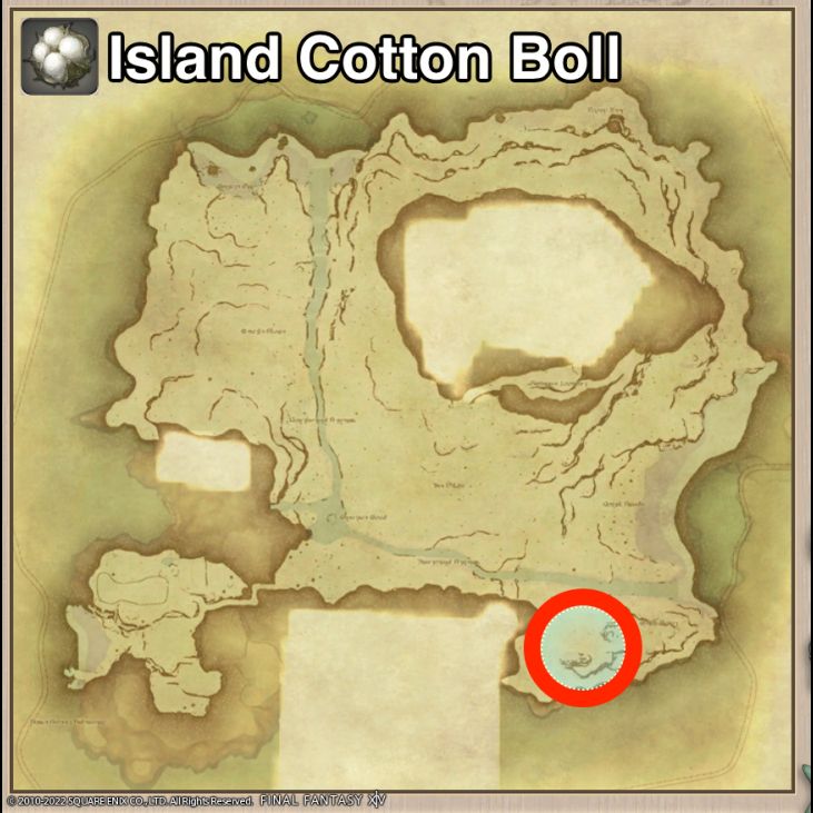 Main location of Island Cotton Boll on Island Sanctuary