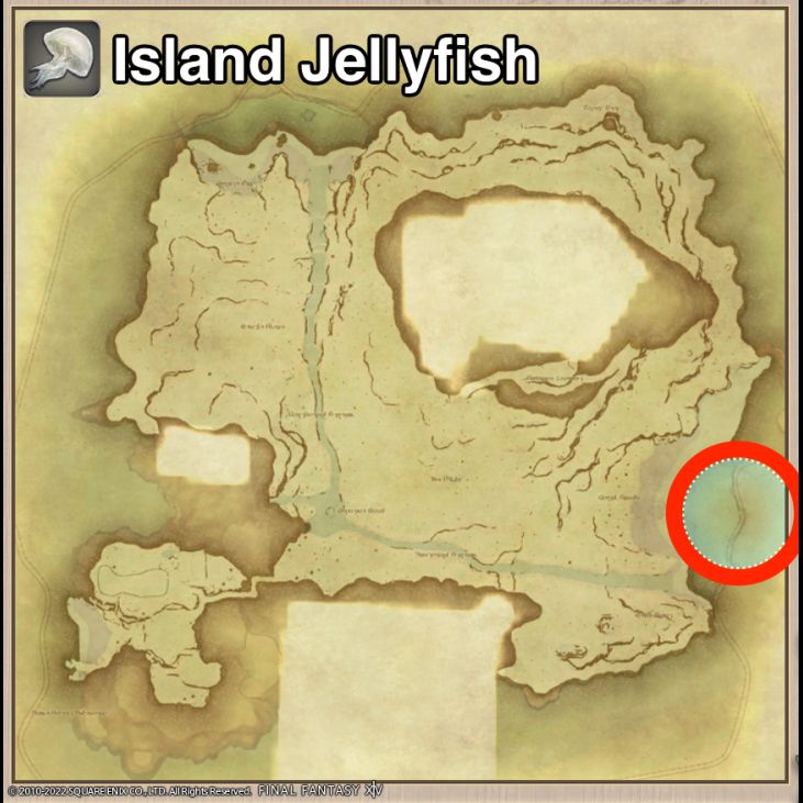 Main location of Island Jellyfish on Island Sanctuary