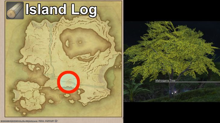 Map Location of Island Log and picture of Mahogany Tree