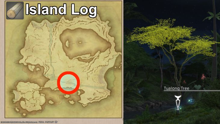 Map Location of Island Logs and picture of Tualong Tree