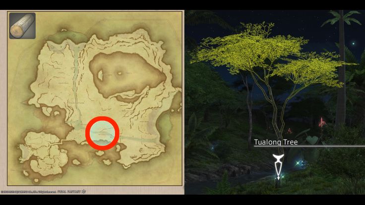 Map Location of Island Logs and picture of Tualong Tree