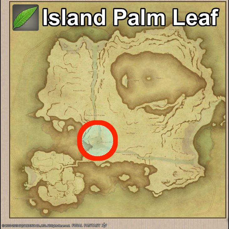 Main location of Island Palm Leaf on Island Sanctuary