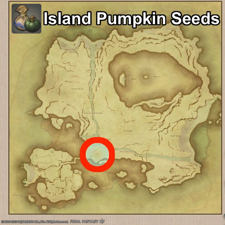 Main location of Island Pumpkin Seeds on Island Sanctuary
