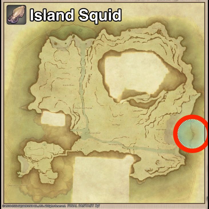 Main location of Island Squid on Island Sanctuary