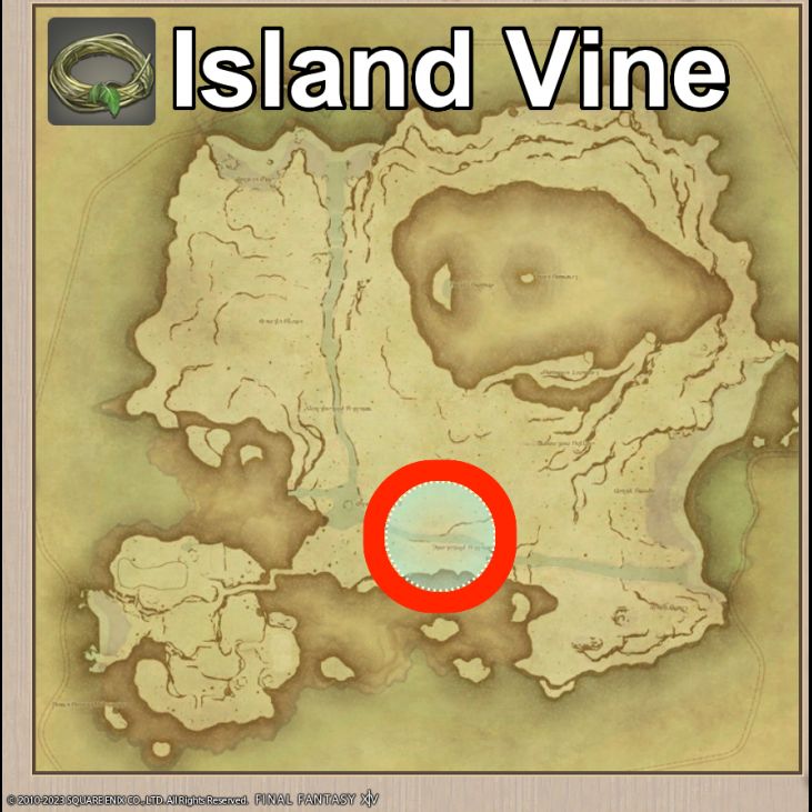 Main location of Island Vine on Island Sanctuary