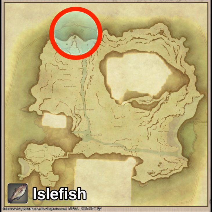 Main location of Islefish on Island Sanctuary